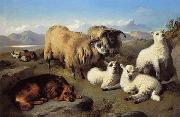 unknow artist Sheep 191 painting